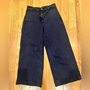 Everlane Navy Wide-leg High Waisted Pant